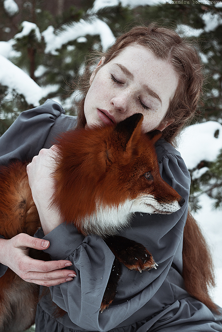 Alexandra Bochkareva estimulantes fotografias zorros 9