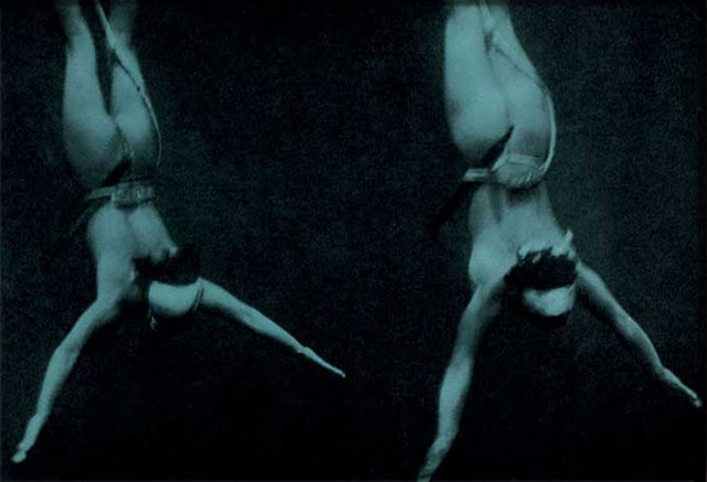 Ama Japanese Mermaids5