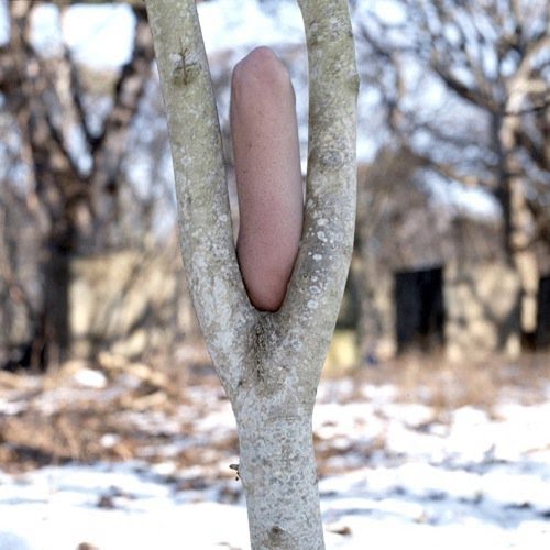 Frederic Fontenoy fotografias surrealistas 24