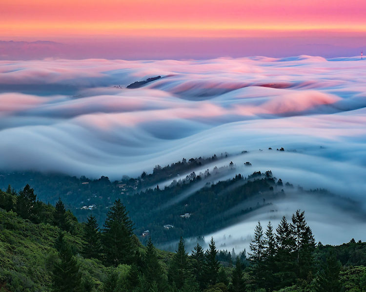 Nicholas Steinberg fotografias niebla