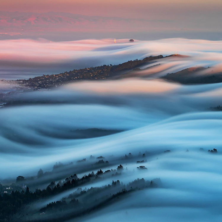 Nicholas Steinberg fotografias niebla 10