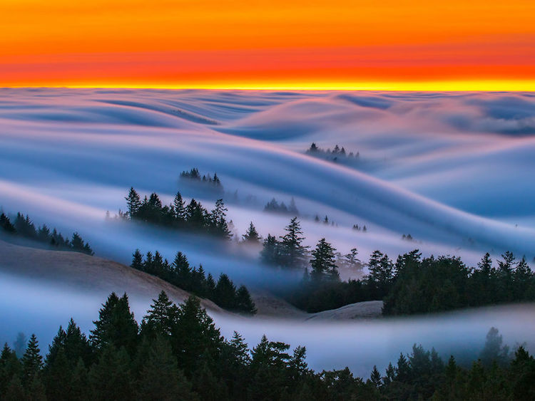 Nicholas Steinberg fotografias niebla 2