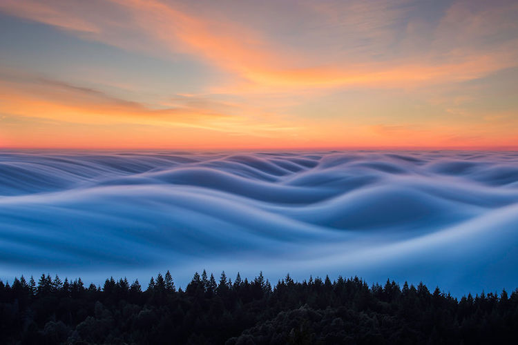 Nicholas Steinberg fotografias niebla 3