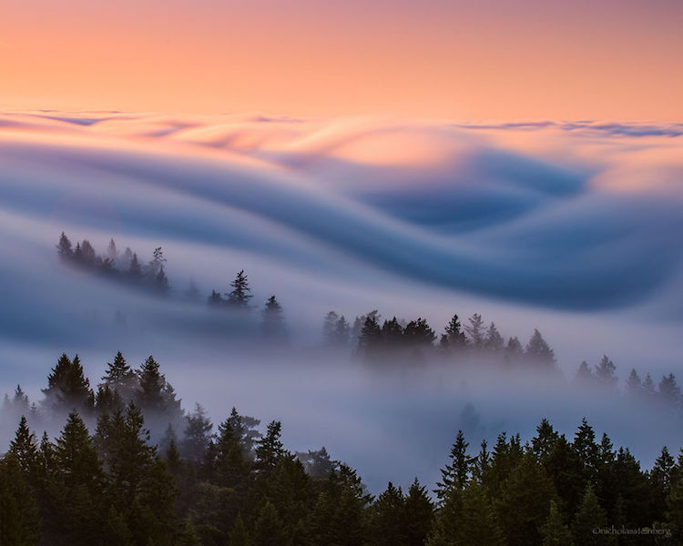 Nicholas Steinberg fotografias niebla 5
