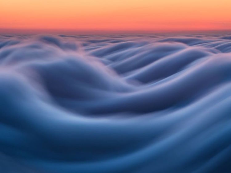 Nicholas Steinberg fotografias niebla 7