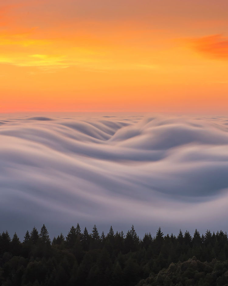 Nicholas Steinberg fotografias niebla 8