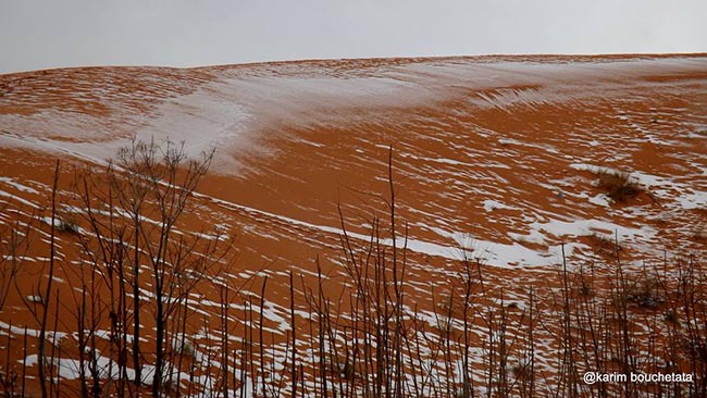 Nieve Sahara Cultura Inquieta 3
