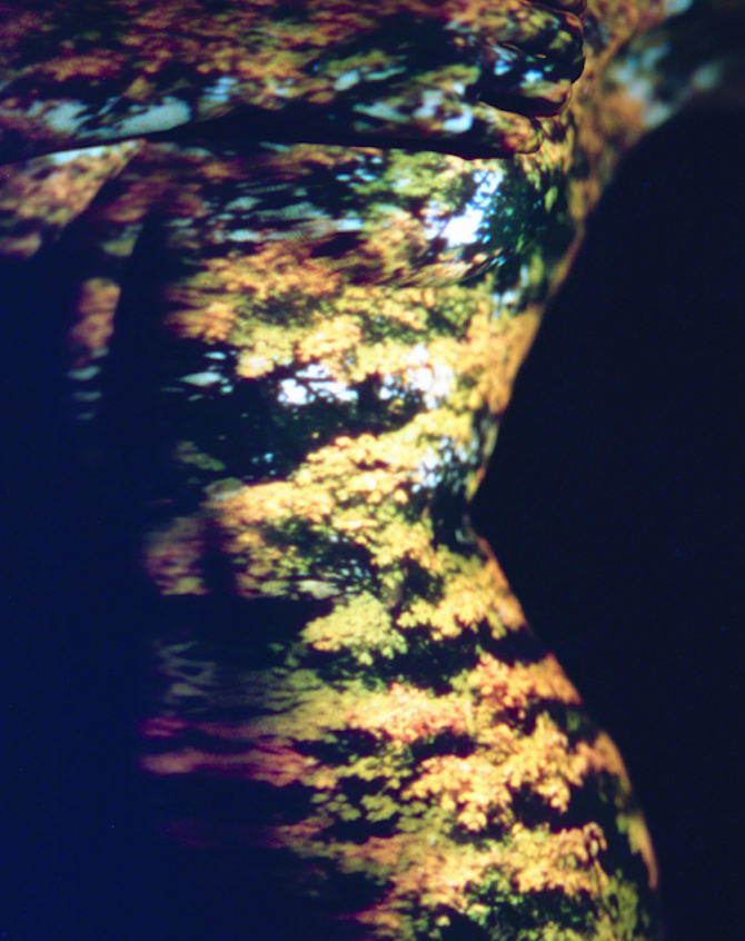 Photography DavisAyer7 culturainquieta