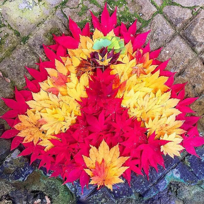 arte con hojas caidas 16