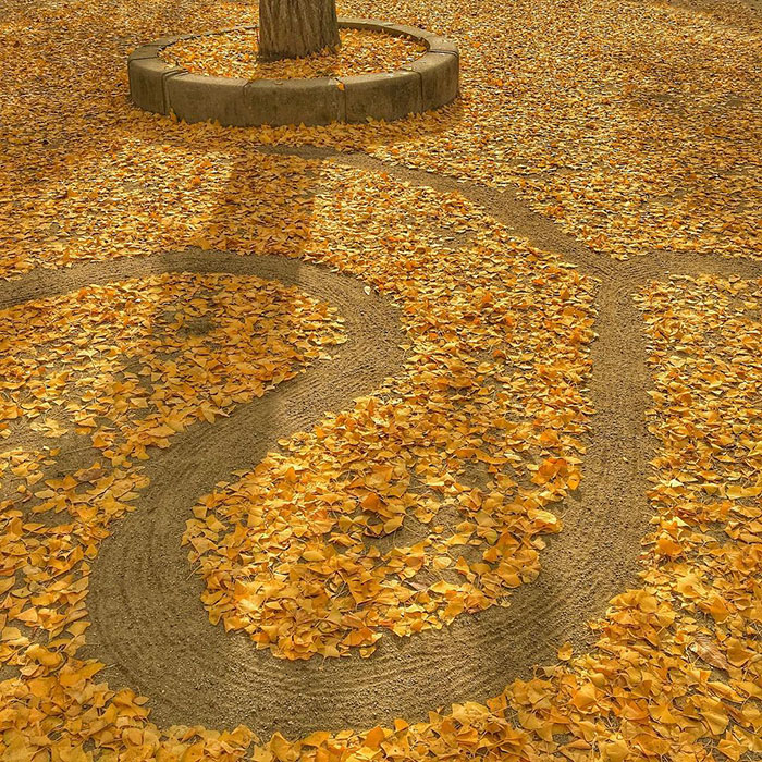 arte con hojas caidas 19