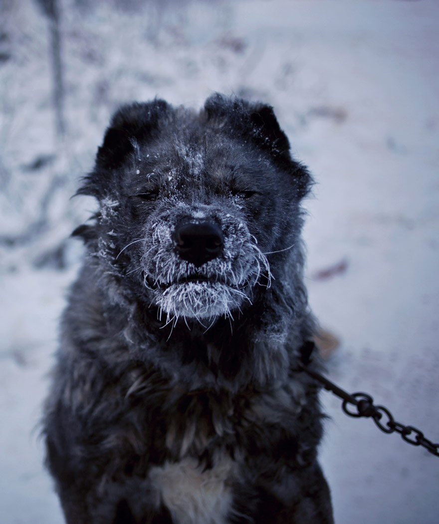coldest village oymyakon russia amos chaple 24