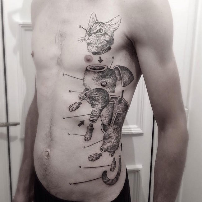 dambra tatu 01
