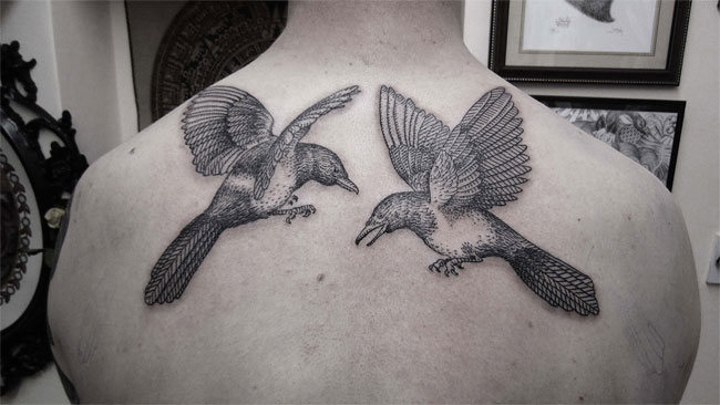 dambra tatu 06