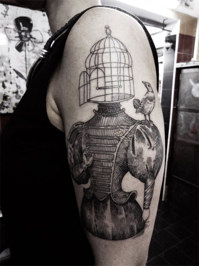 dambra tatu 12