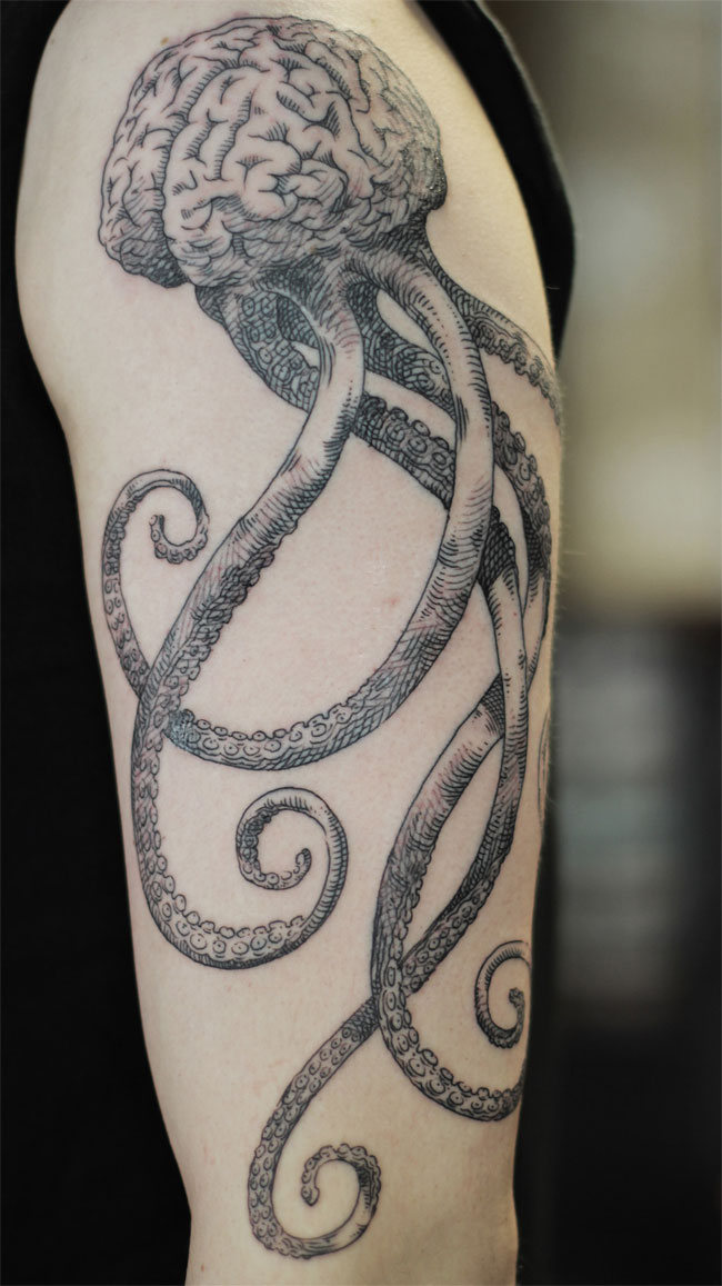 dambra tatu 13