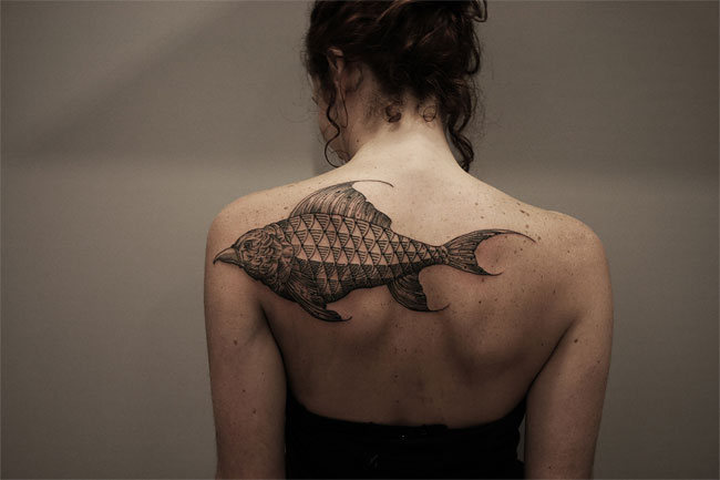 dambra tatu 14