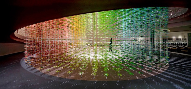 emmanuelle moureaux1 culturainquieta