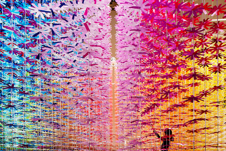 emmanuelle moureaux3 culturainquieta