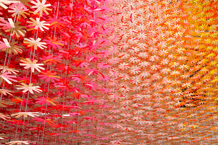emmanuelle moureaux4 culturainquieta