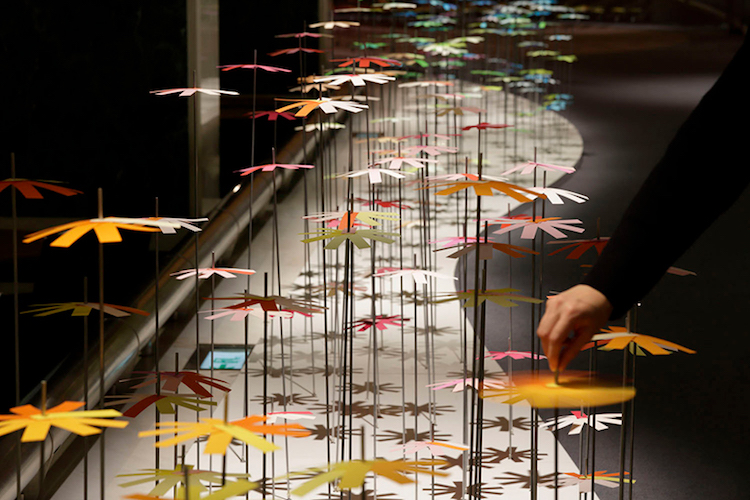 emmanuelle moureaux9 culturainquieta