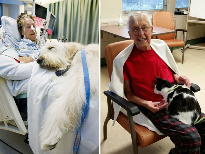 imagenes para recuperar la fe en la humanidad 30