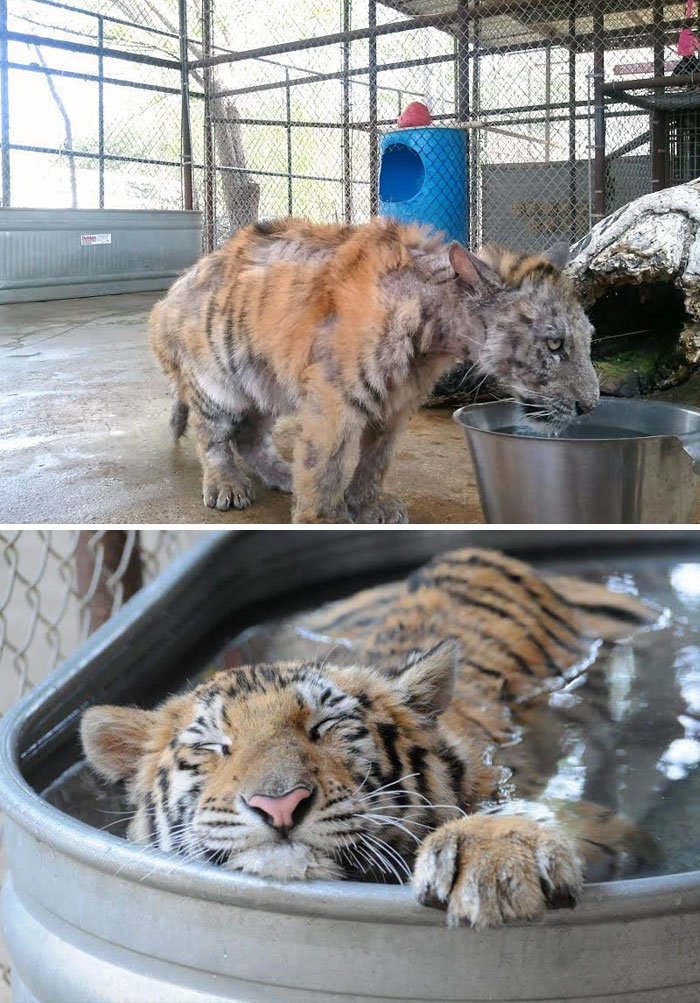 imagenes para recuperar la fe en la humanidad 8