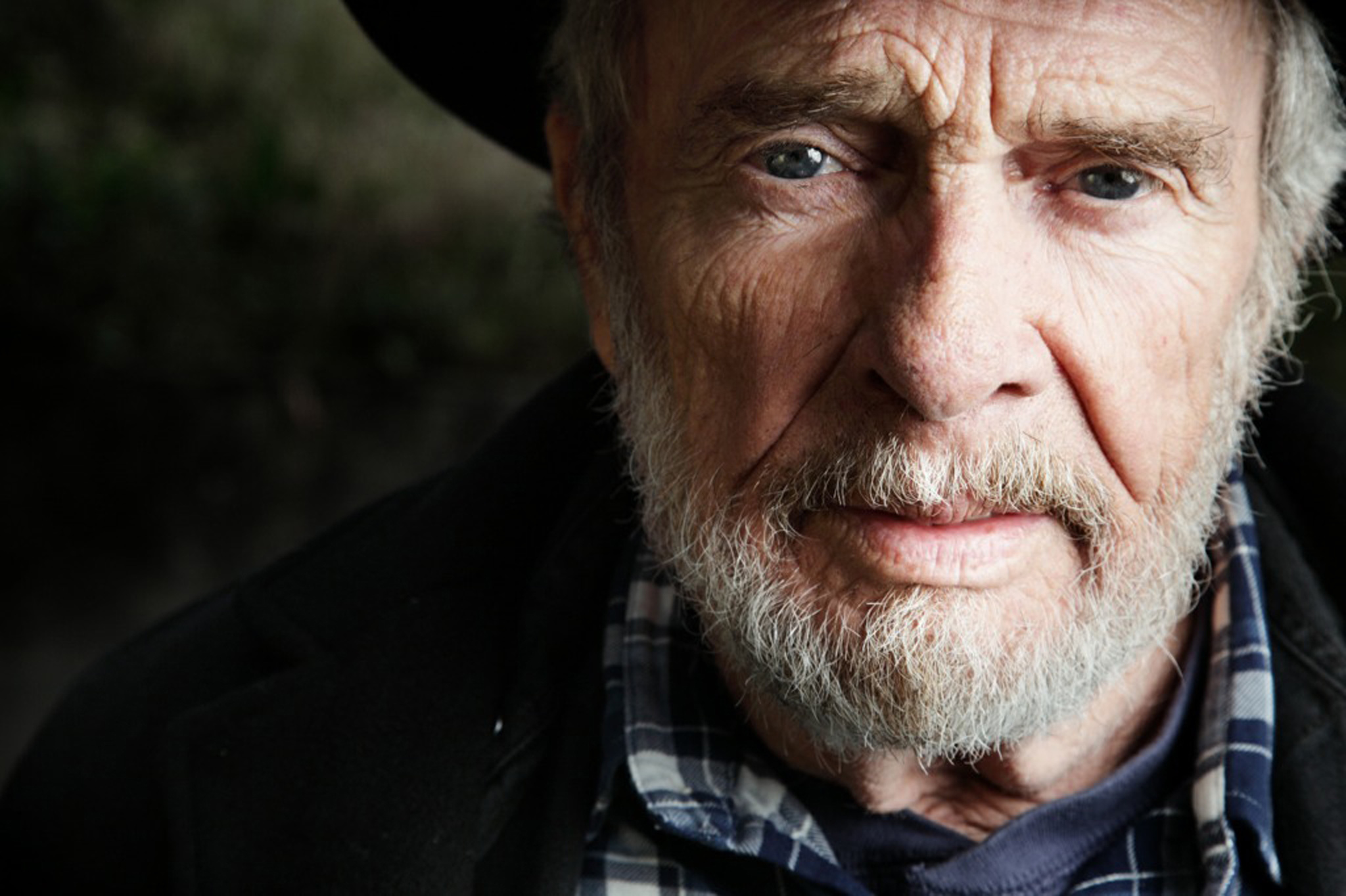 merle culturainquieta