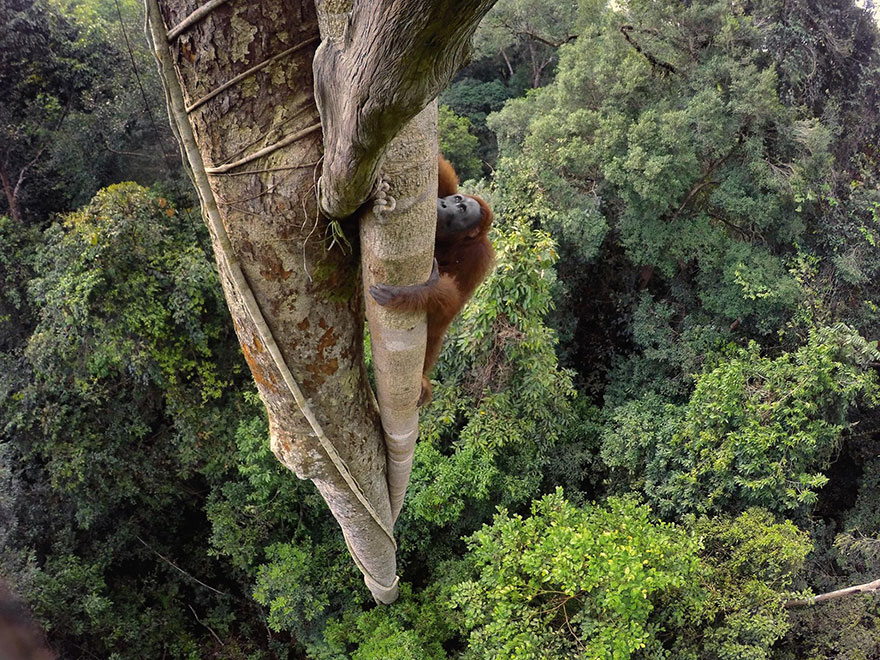 natgeo3 culturainquieta