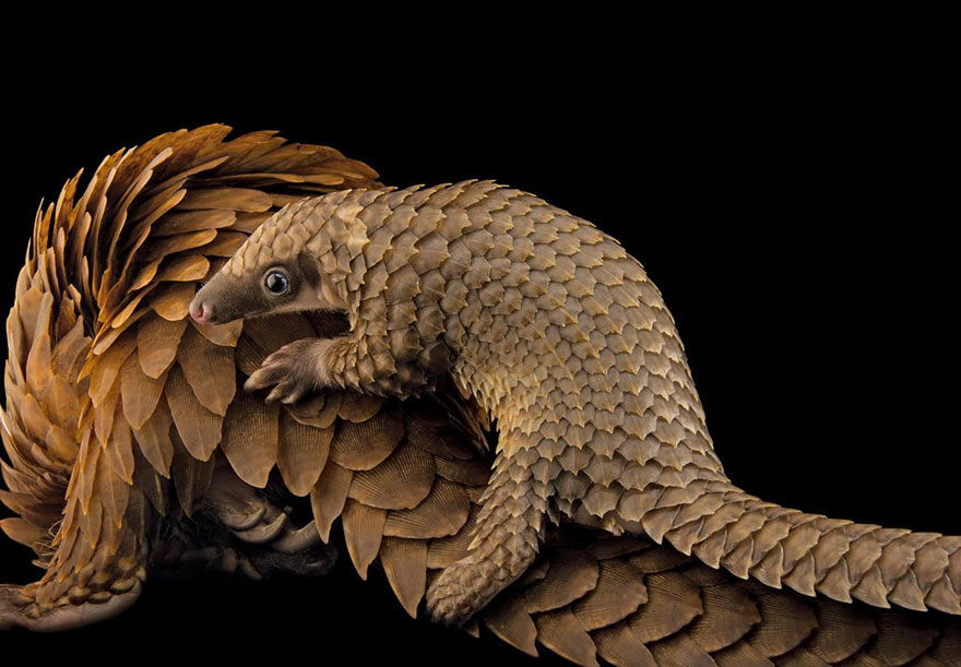 natgeo8 culturainquieta