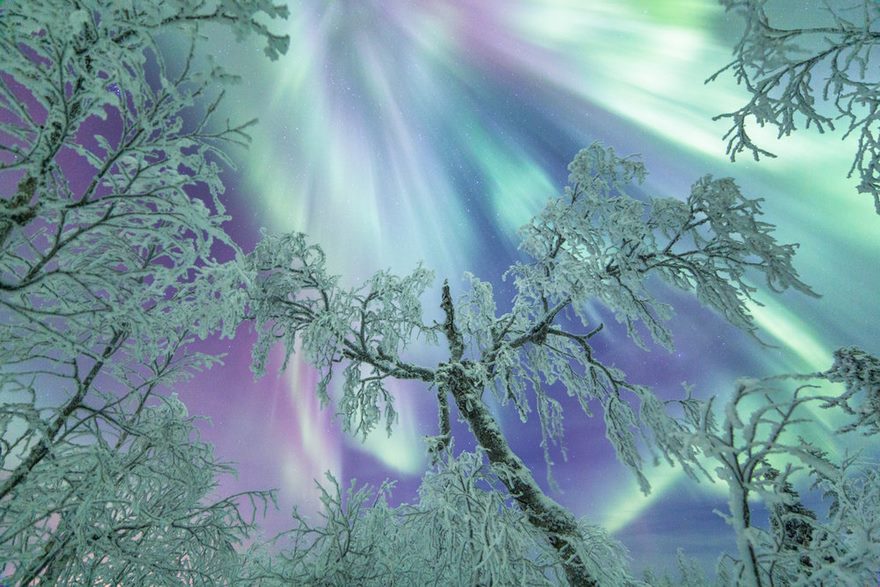 northern lights culturainquieta