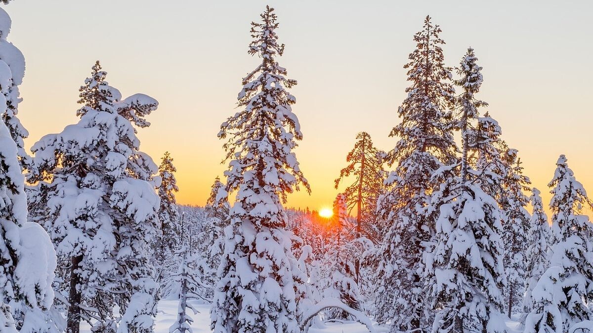 solsticio de invierno navidad naturaleza planeta 4