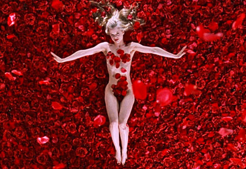 American Beauty Cultura Inquieta 1
