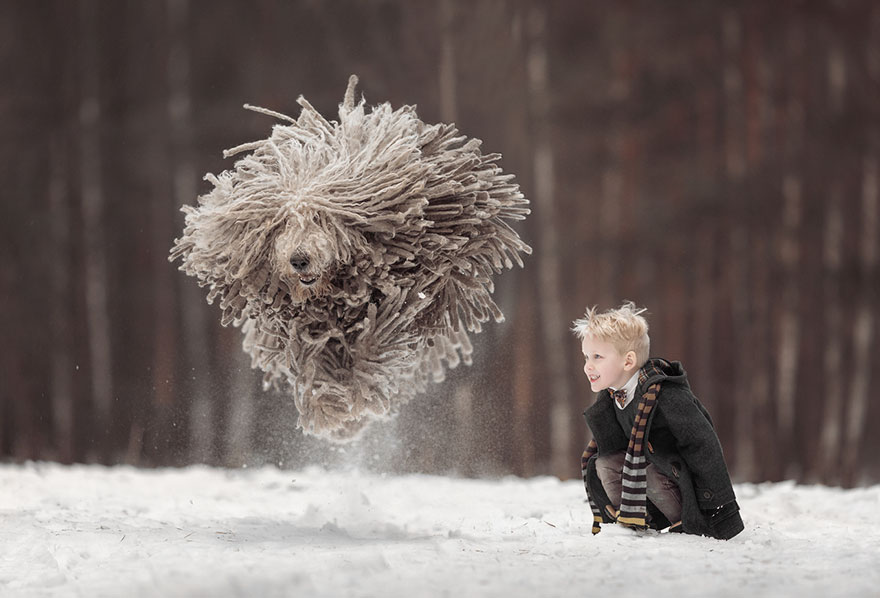 Andy Seliverstoff perros gigantes