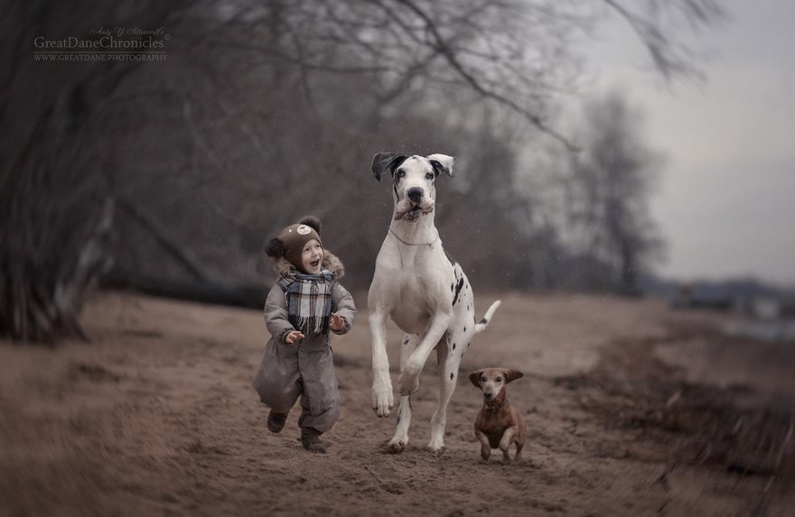 Andy Seliverstoff perros gigantes 10