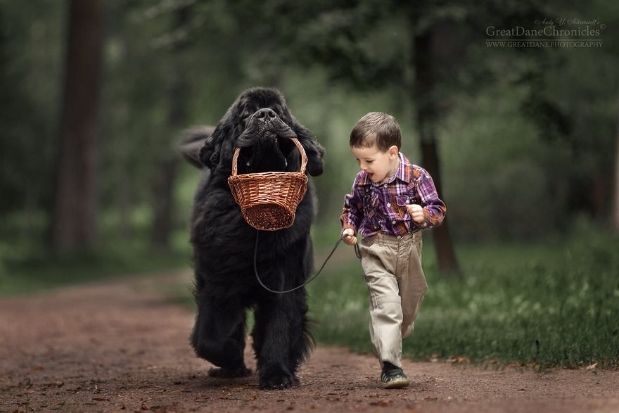 Andy Seliverstoff perros gigantes 7