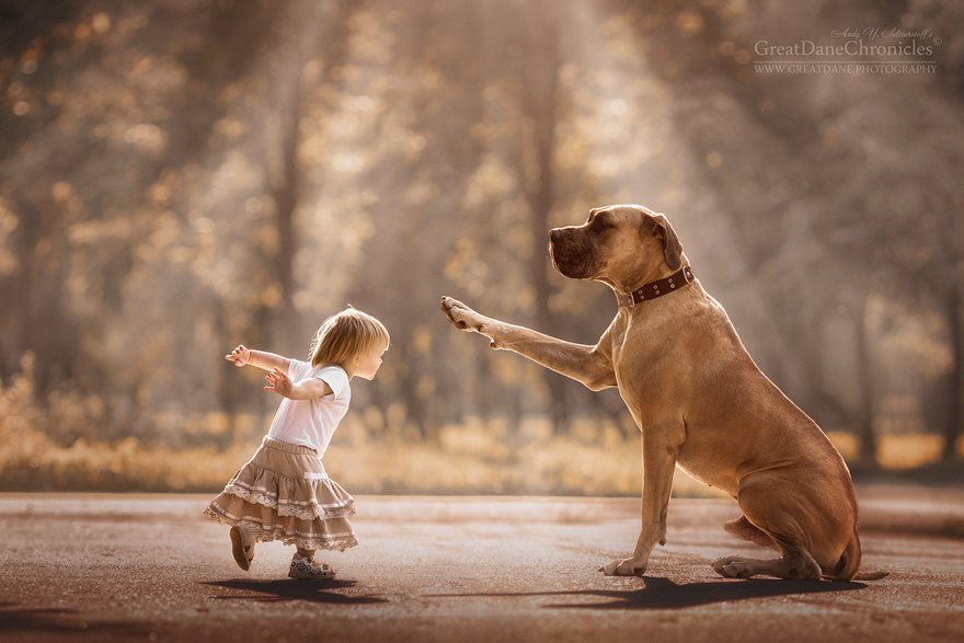Andy Seliverstoff perros gigantes 8
