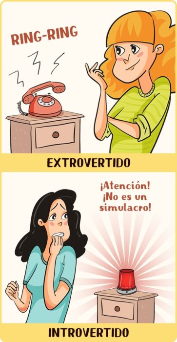 Anna Syrovatkina introvertido vs extrovertido Cultura Inquieta 8