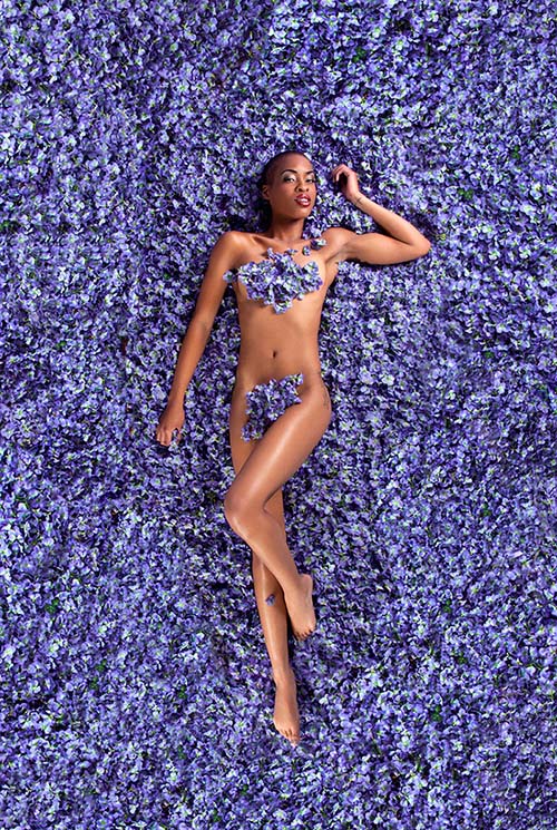 Carey Fruth American Beauty Cultura Inquieta 3