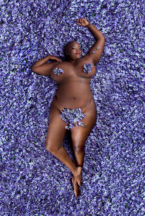 Carey Fruth American Beauty Cultura Inquieta 5