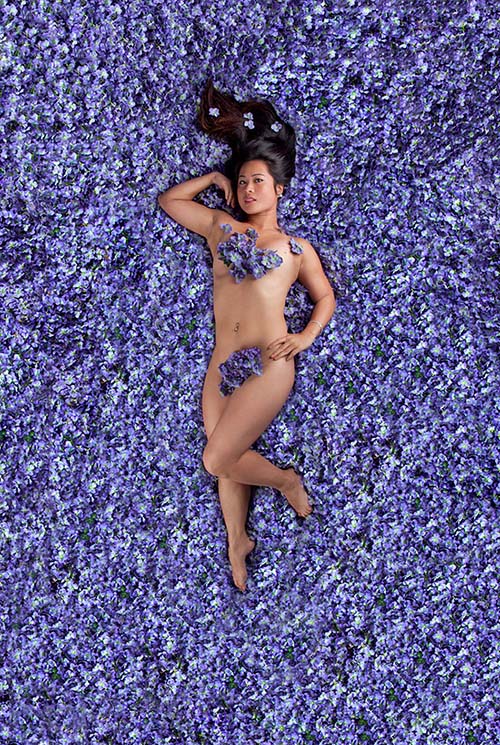 Carey Fruth American Beauty Cultura Inquieta 8