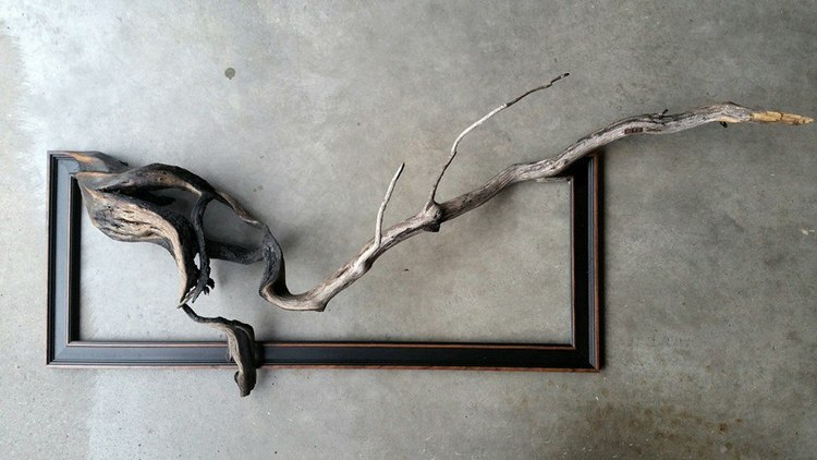 Darryl Cox tree branch frame art15