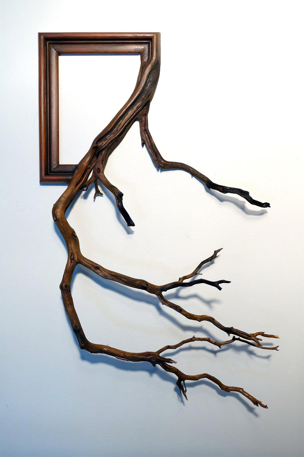 Darryl Cox tree branch frame art5