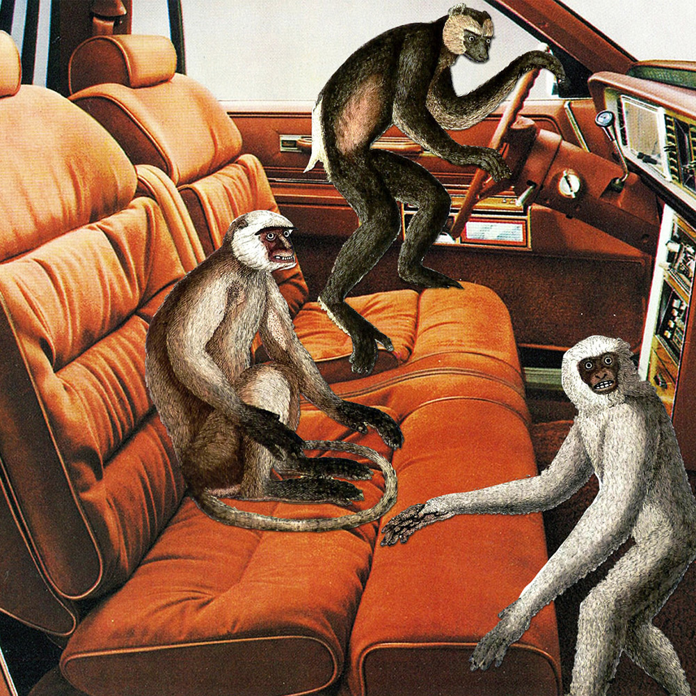 Collage de Eugenia Loli