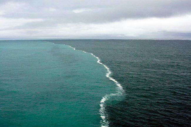 Mares Alaska Cultura Inquieta 1