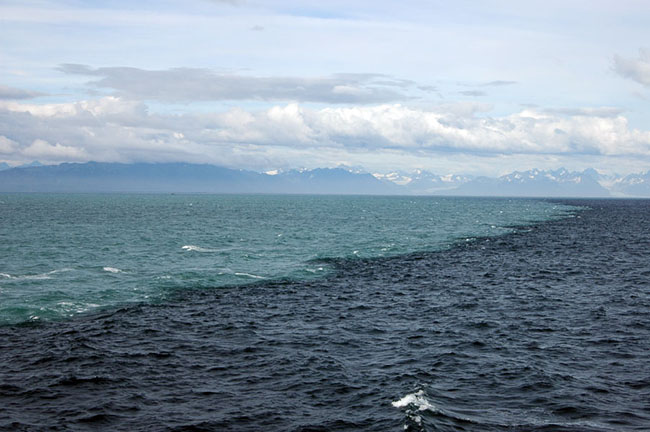 Mares Alaska Cultura Inquieta 4