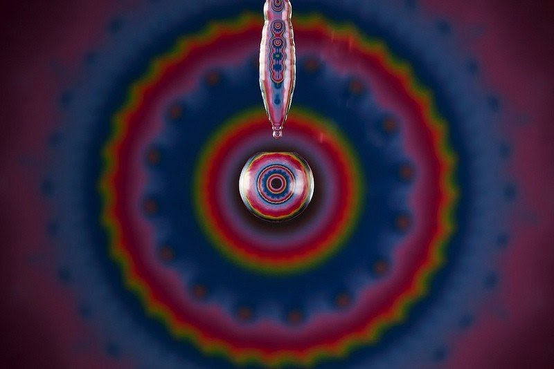 Markus Reugels macrofotografia gotas 7