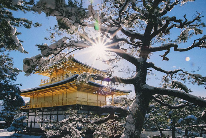 Nevada en Kyoto Cultura Inquieta 11
