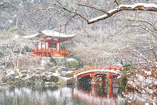 Nevada en Kyoto Cultura Inquieta 12