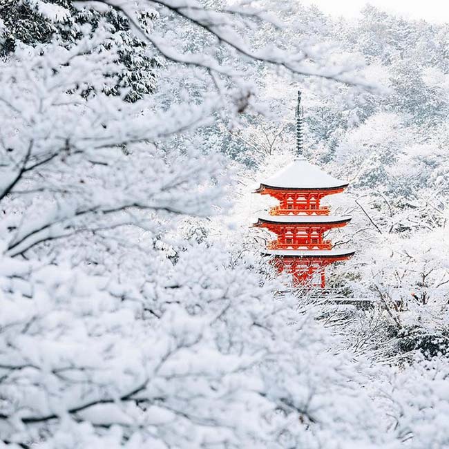 Nevada en Kyoto Cultura Inquieta 3