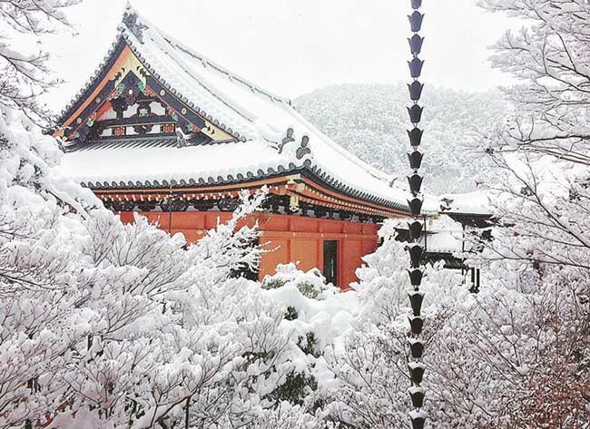 Nevada en Kyoto Cultura Inquieta 7